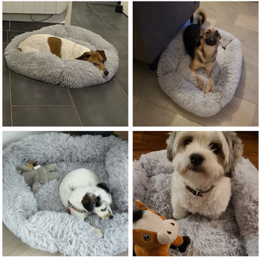 Dog Heaven™ Plush Bed